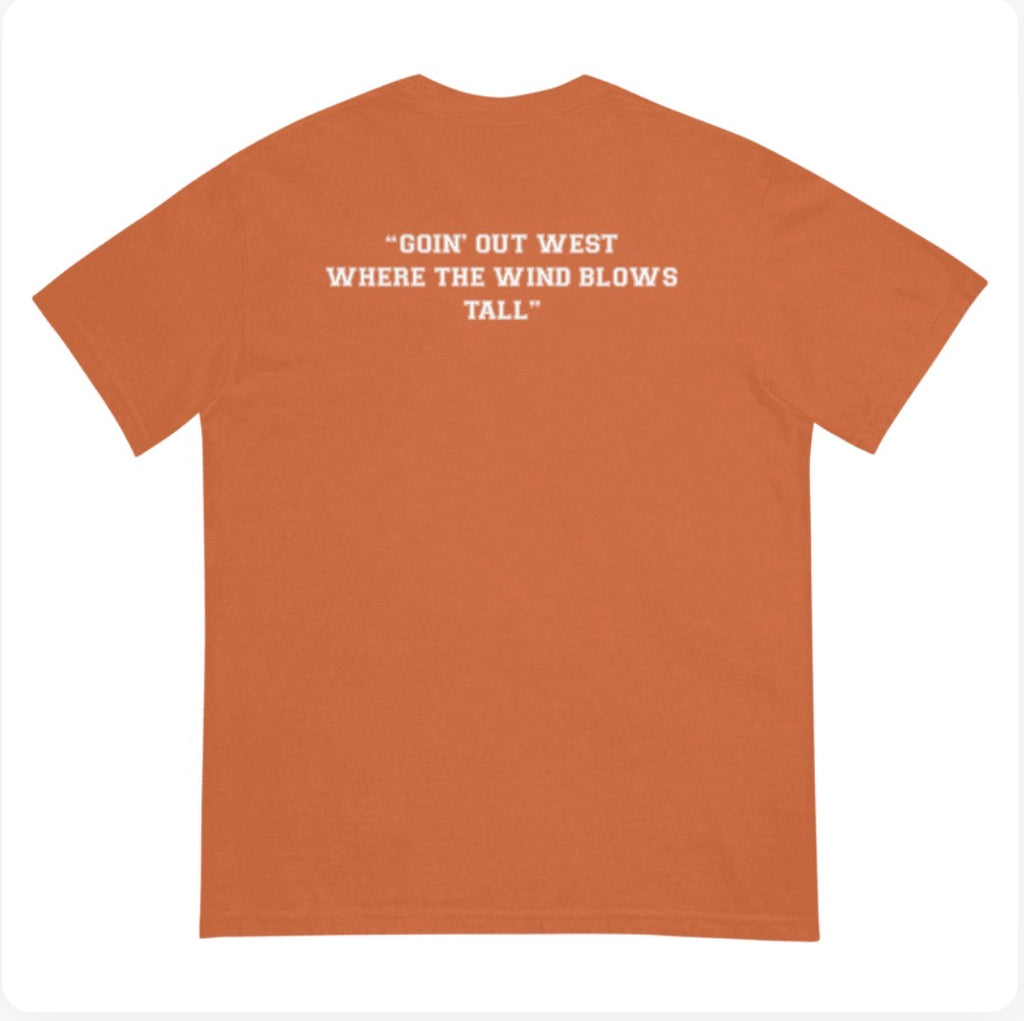 Texas Panic Comfort Colors T-Shirt