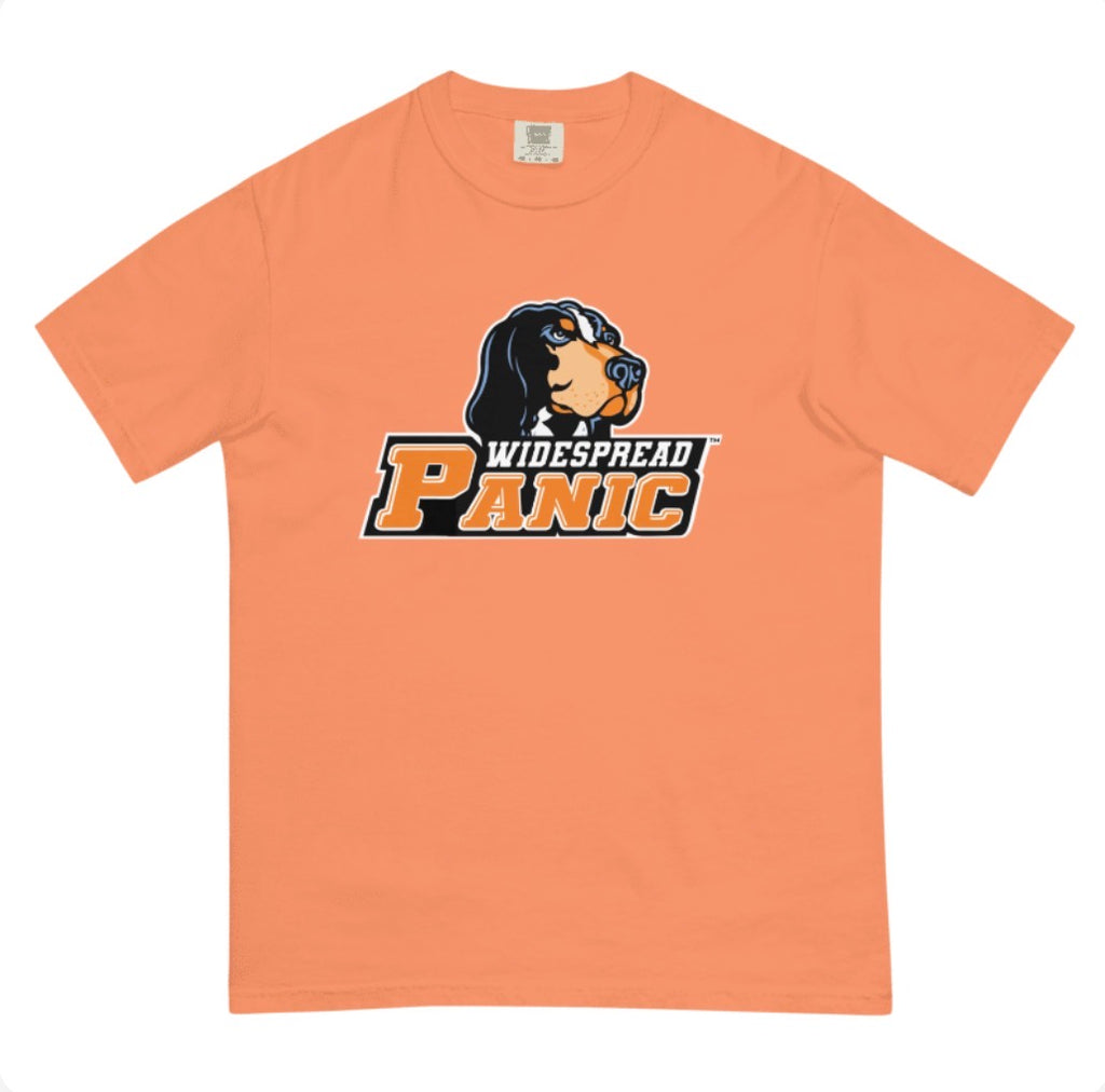 Tennessee Panic Comfort Colors T-Shirt