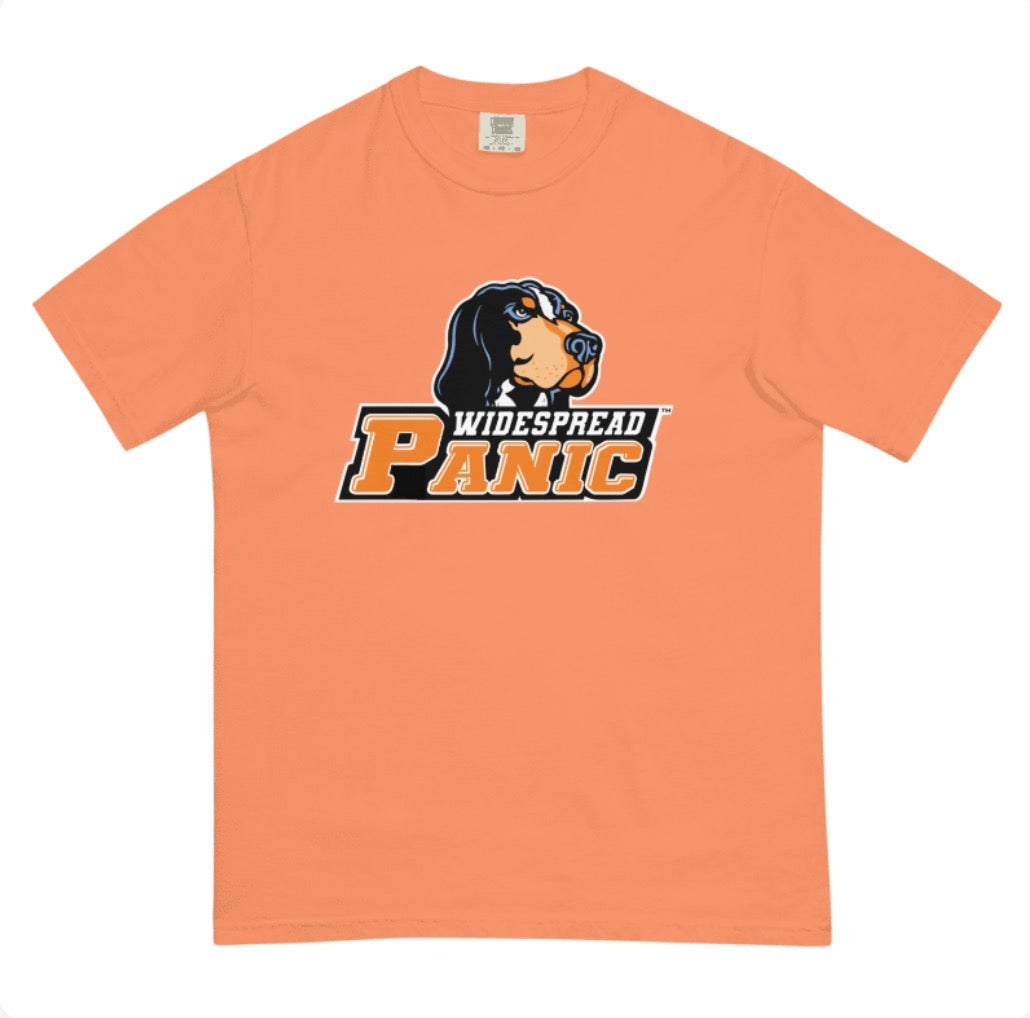 Tennessee Panic Comfort Colors T-Shirt