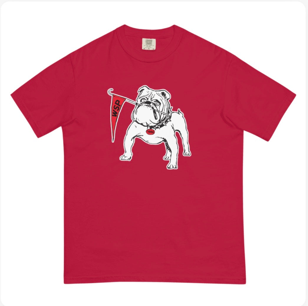 Georgia Panic Comfort Colors T-Shirt