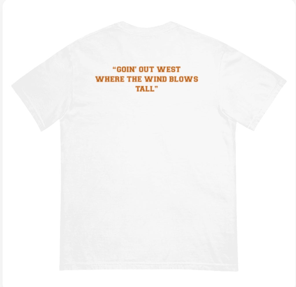 Texas Panic Comfort Colors T-Shirt