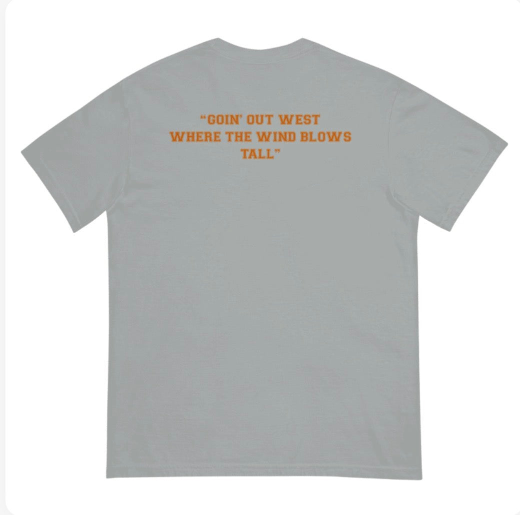 Texas Panic Comfort Colors T-Shirt