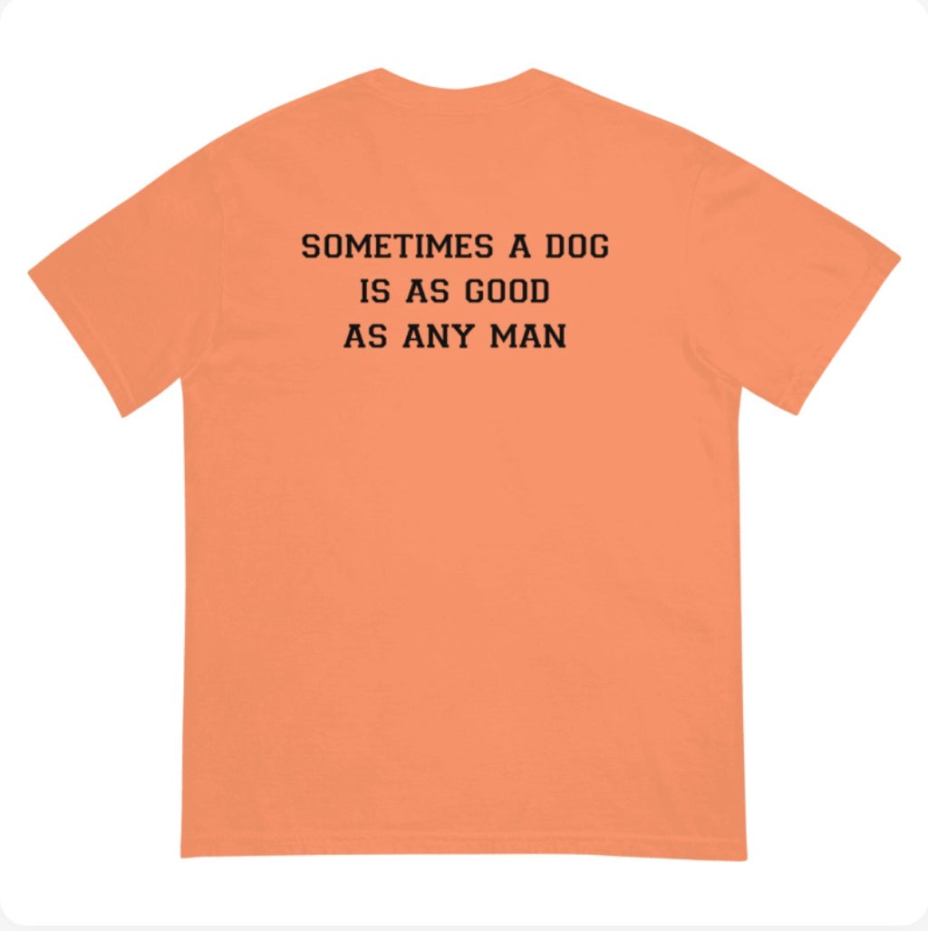Tennessee Panic Comfort Colors T-Shirt