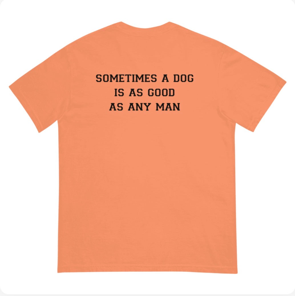 Tennessee Panic Comfort Colors T-Shirt