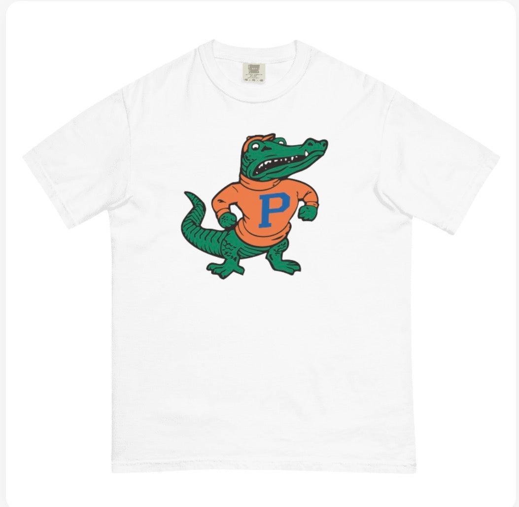 Florida Panic Comfort Colors T-Shirt