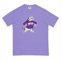 TCU Panic Comfort Colors T-Shirt
