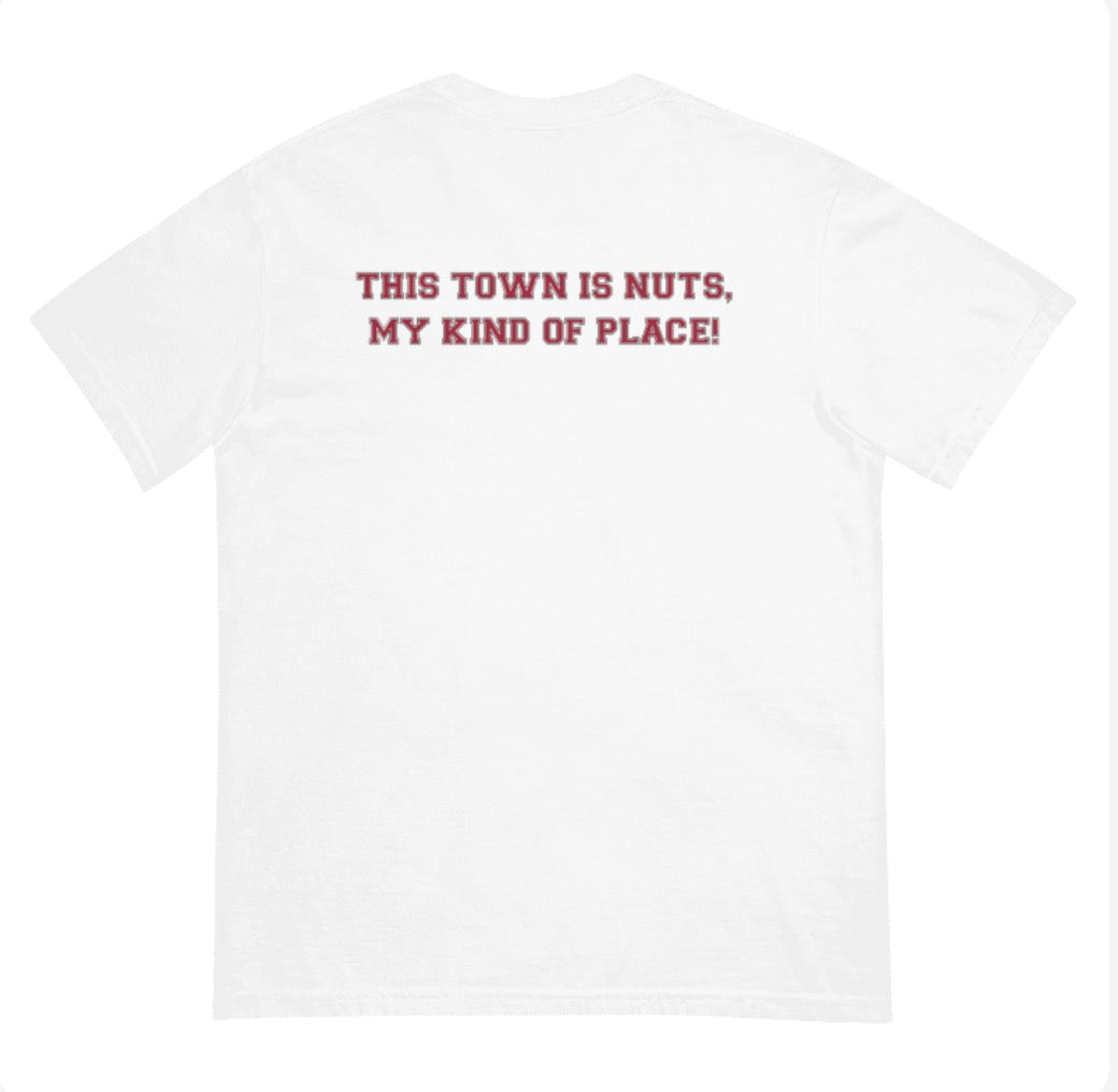 Arkansas Panic Comfort Colors T-Shirt