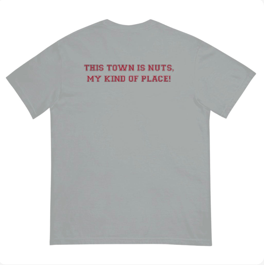 Arkansas Panic Comfort Colors T-Shirt