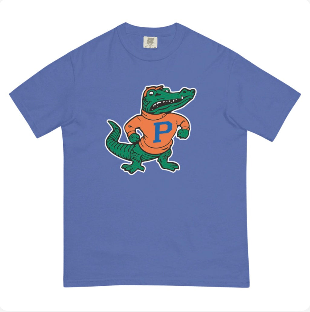 Florida Panic Comfort Colors T-Shirt