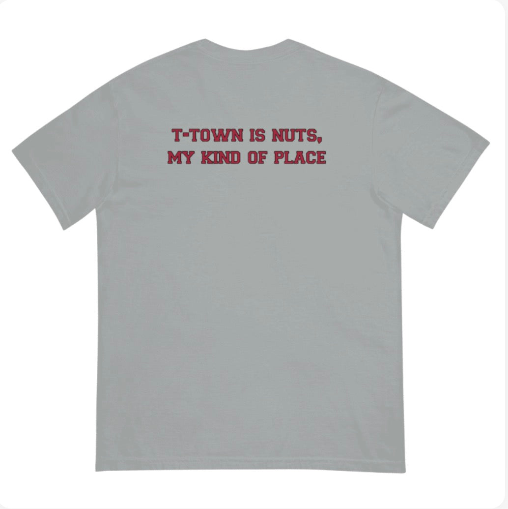 Bama Panic Vintage A Comfort Colors T-Shirt