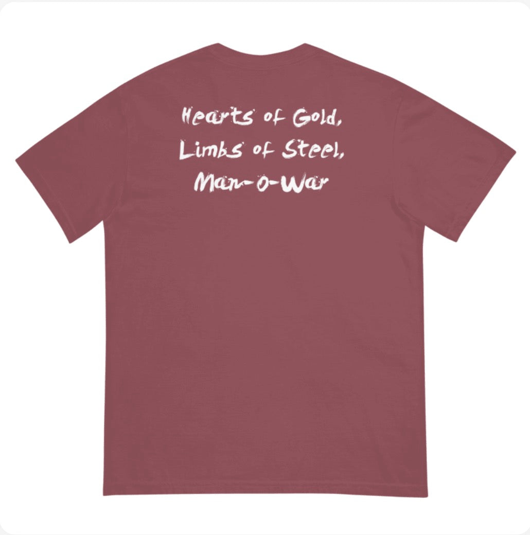 Troy Panic Comfort Colors T-Shirt